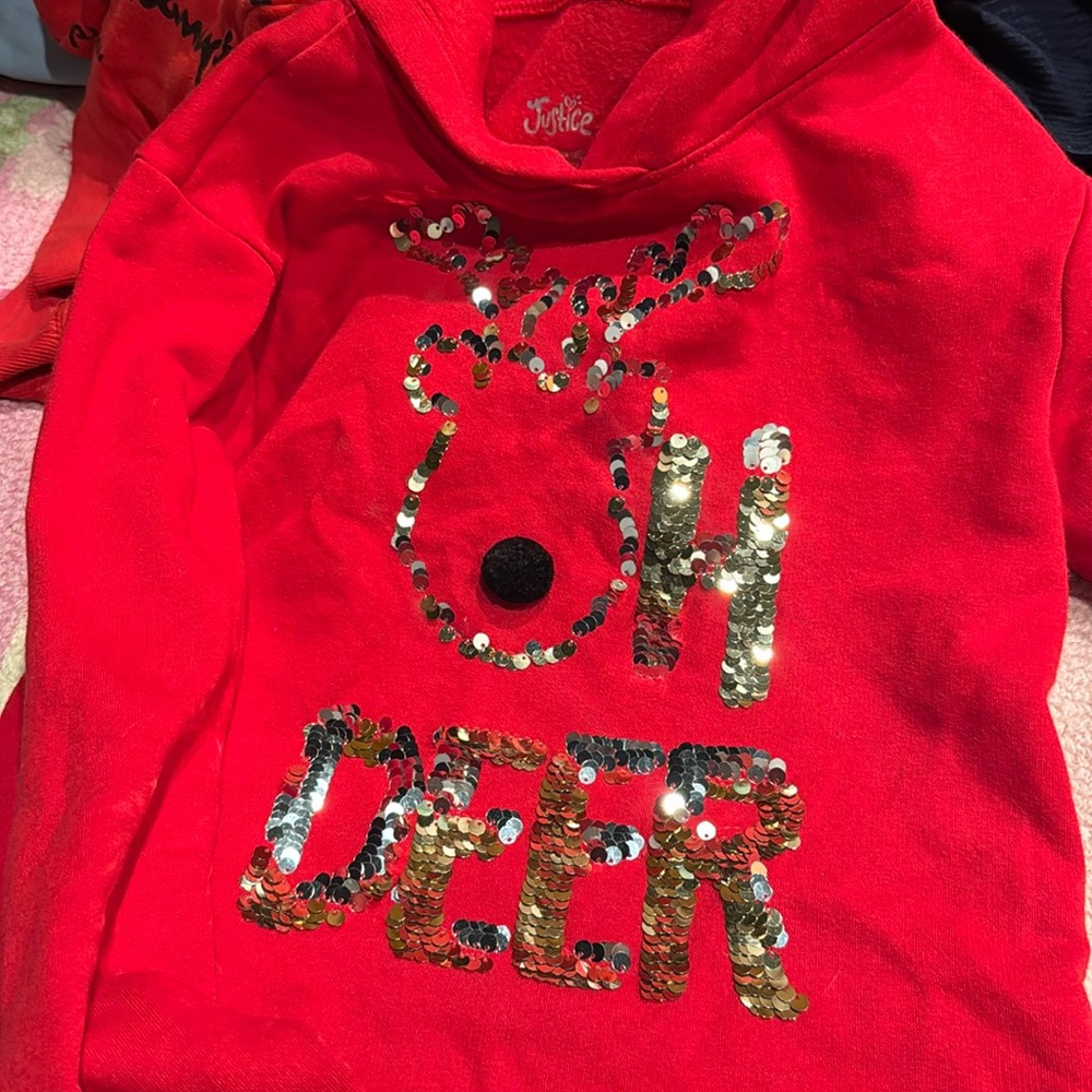 Holiday Hoodie